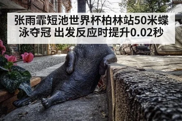 张雨霏短池世界杯柏林站50米蝶泳夺冠 出发反应时提升0.02秒